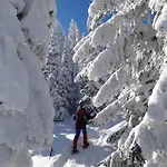 Gaestehaus Alpengruss *