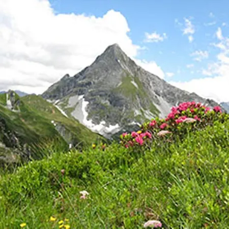 Gaestehaus Alpengruss マイヤーホーフェン