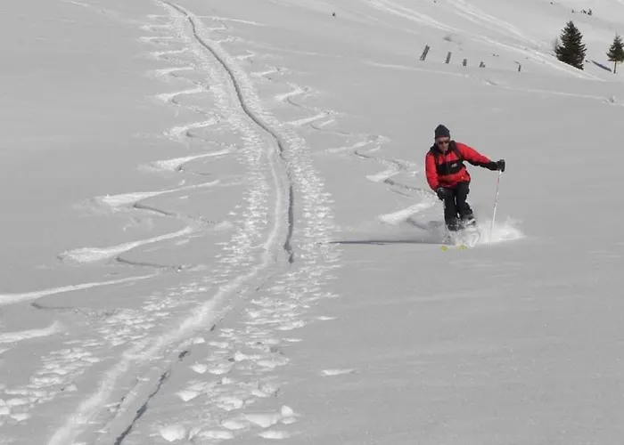 Apartment Alpengruss